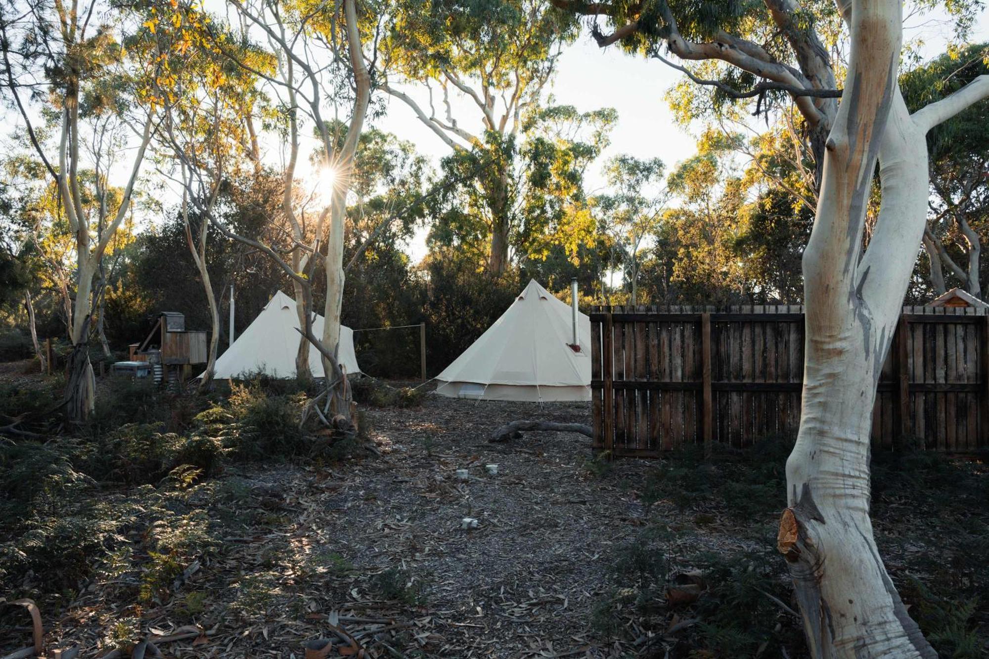 Numie - Freycinet Peninsula - Glamping Hotel Coles Bay Exterior photo