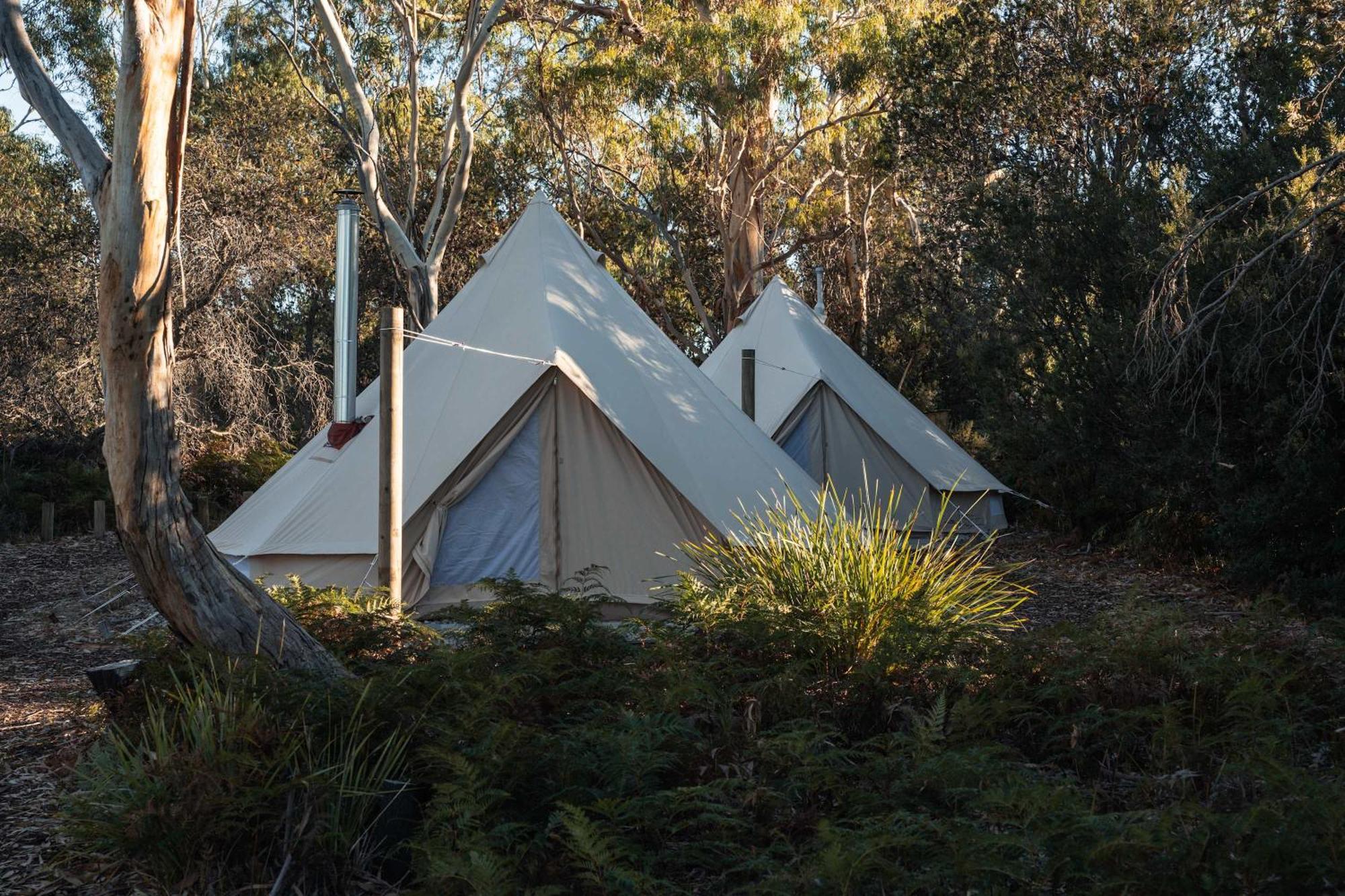Numie - Freycinet Peninsula - Glamping - Heated - Waterfront Hotel Coles Bay Exterior photo