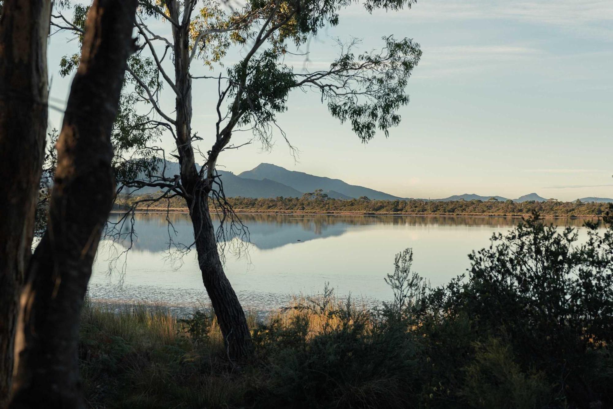 Numie - Freycinet Peninsula - Glamping Hotel Coles Bay Exterior photo