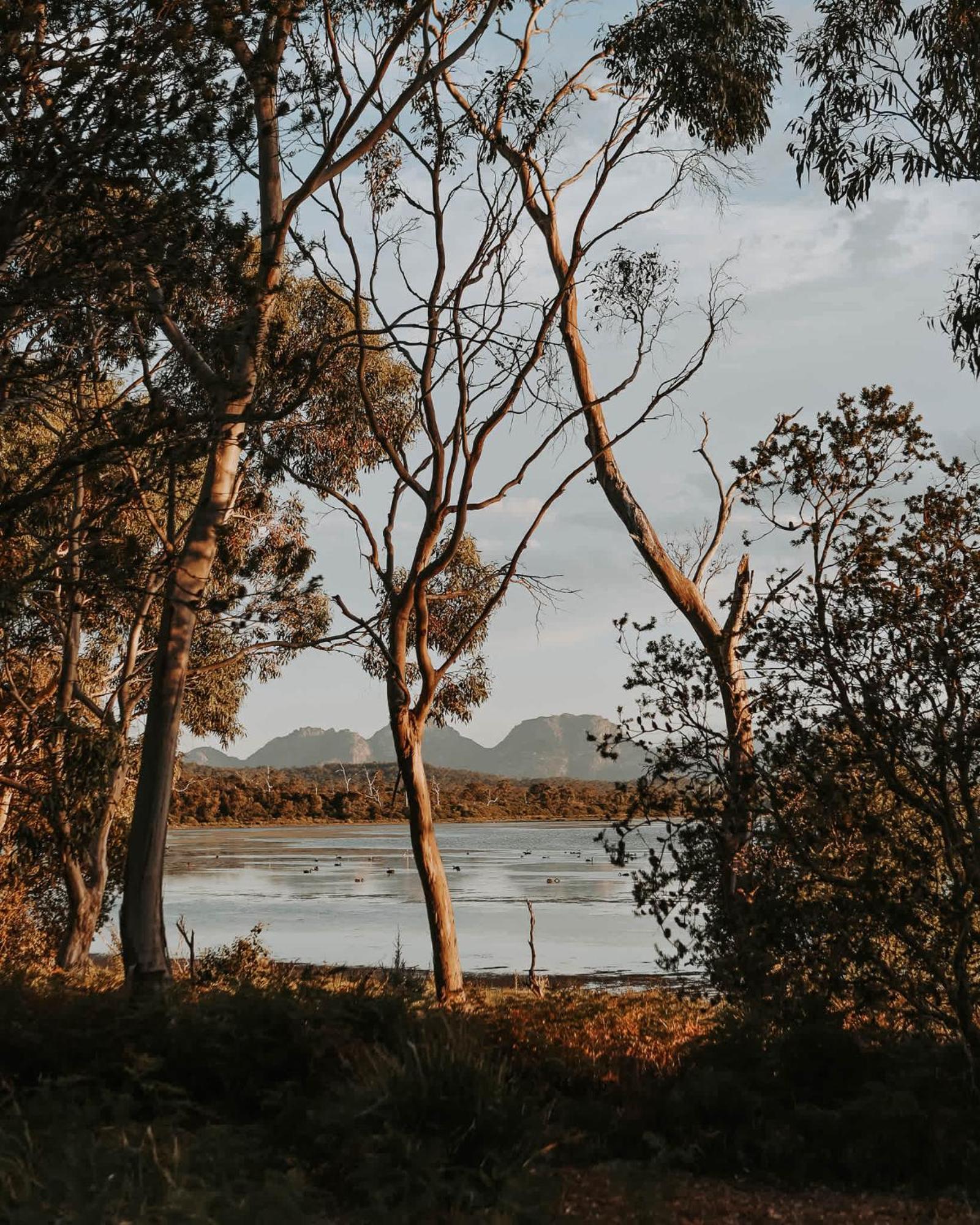 Numie - Freycinet Peninsula - Glamping - Heated - Waterfront Hotel Coles Bay Exterior photo
